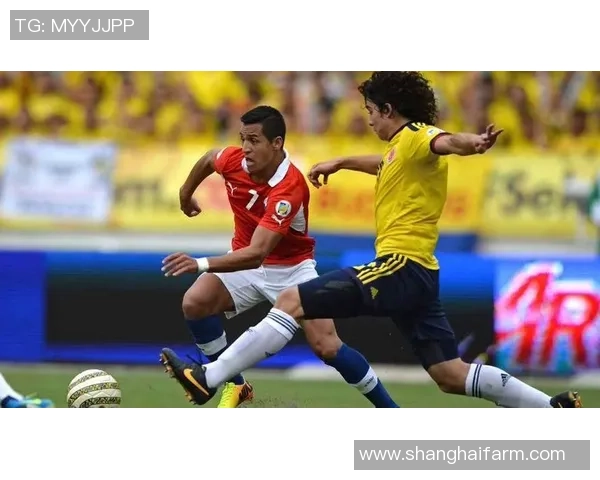 厄瓜多尔与智利比赛前瞻及比分预测分析详解 厄瓜多尔与智利比赛前瞻及比分预测分析详解