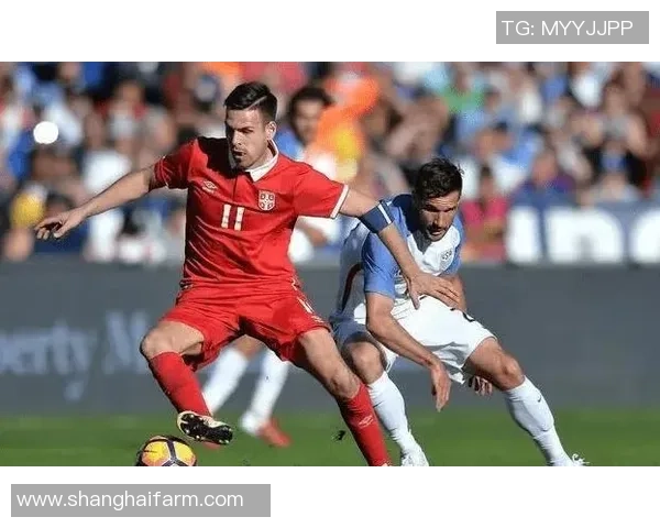 塞尔维亚与葡萄牙2019年精彩对决回顾及赛后分析