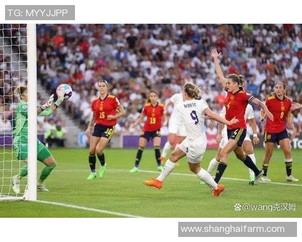 德国女足与奥地利女足激战正酣谁将晋级下一轮赛事的巅峰对决