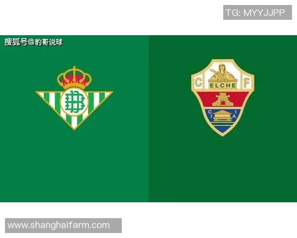 皇家贝迪斯主场迎战艾尔切争夺西甲宝贵积分的精彩对决 皇家贝迪斯主场迎战艾尔切争夺西甲宝贵积分的精彩对决