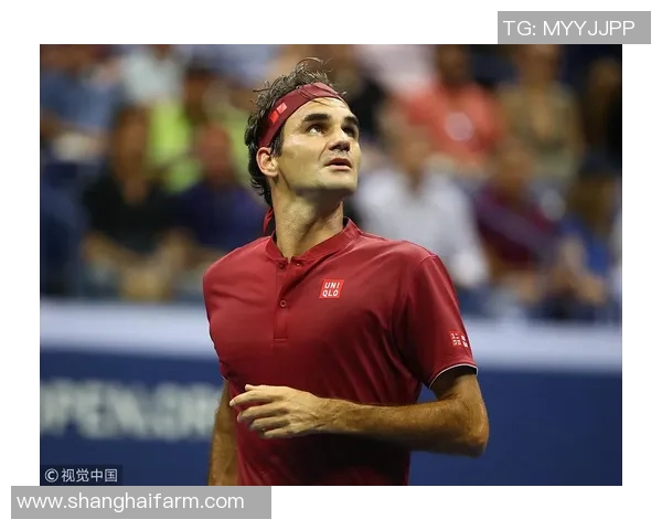 费德勒与戈芬对决精彩回顾网坛传奇与新星的巅峰较量