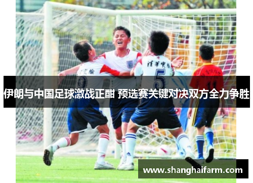 伊朗与中国足球激战正酣 预选赛关键对决双方全力争胜