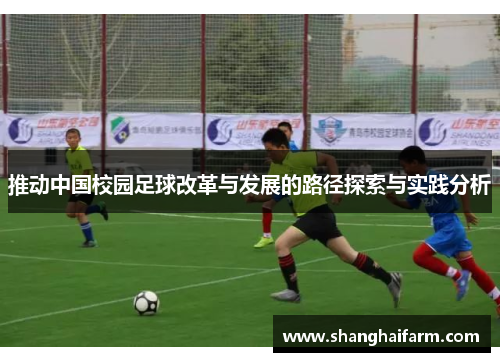 推动中国校园足球改革与发展的路径探索与实践分析