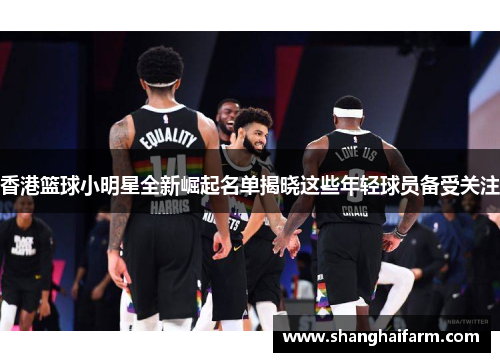 香港篮球小明星全新崛起名单揭晓这些年轻球员备受关注