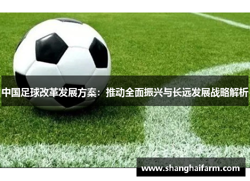 中国足球改革发展方案：推动全面振兴与长远发展战略解析