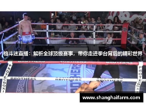 格斗迷直播：解析全球顶级赛事，带你走进拳台背后的精彩世界