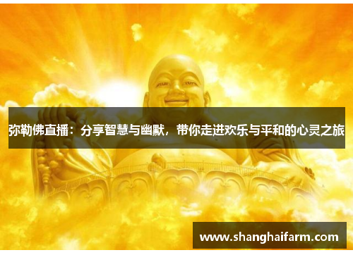 弥勒佛直播：分享智慧与幽默，带你走进欢乐与平和的心灵之旅