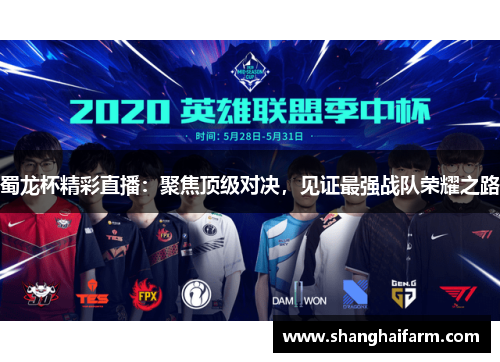 蜀龙杯精彩直播：聚焦顶级对决，见证最强战队荣耀之路