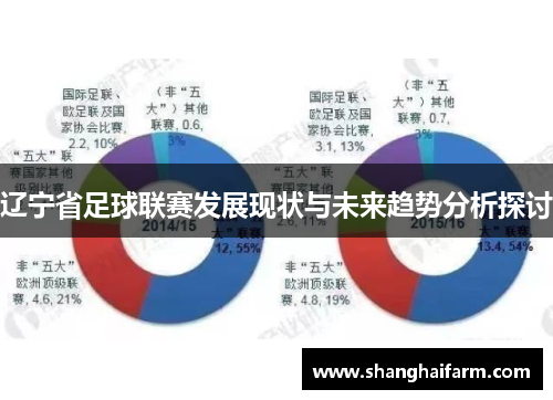 辽宁省足球联赛发展现状与未来趋势分析探讨