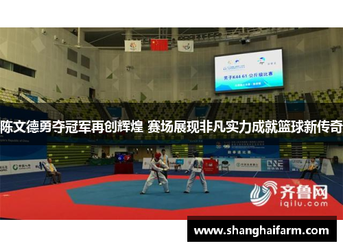 陈文德勇夺冠军再创辉煌 赛场展现非凡实力成就篮球新传奇
